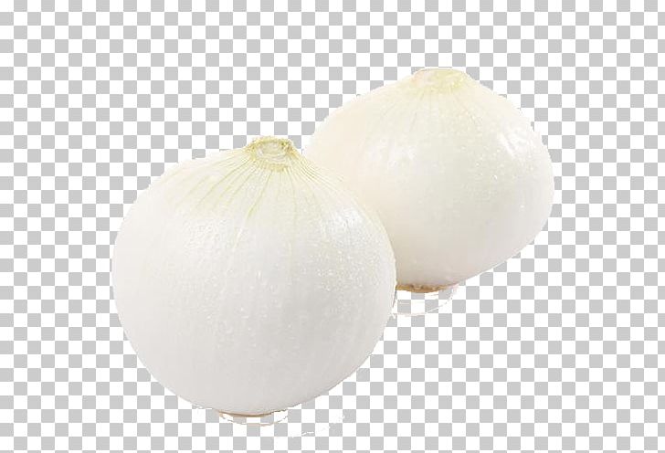 White Onion Vegetable PNG, Clipart, Adobe Illustrator, Background White, Black White, Download, Encapsulated Postscript Free PNG Download
