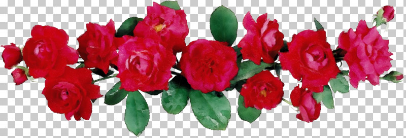 Garden Roses PNG, Clipart, Cut Flowers, Floral Line, Flower, Flower Background, Flower Border Free PNG Download