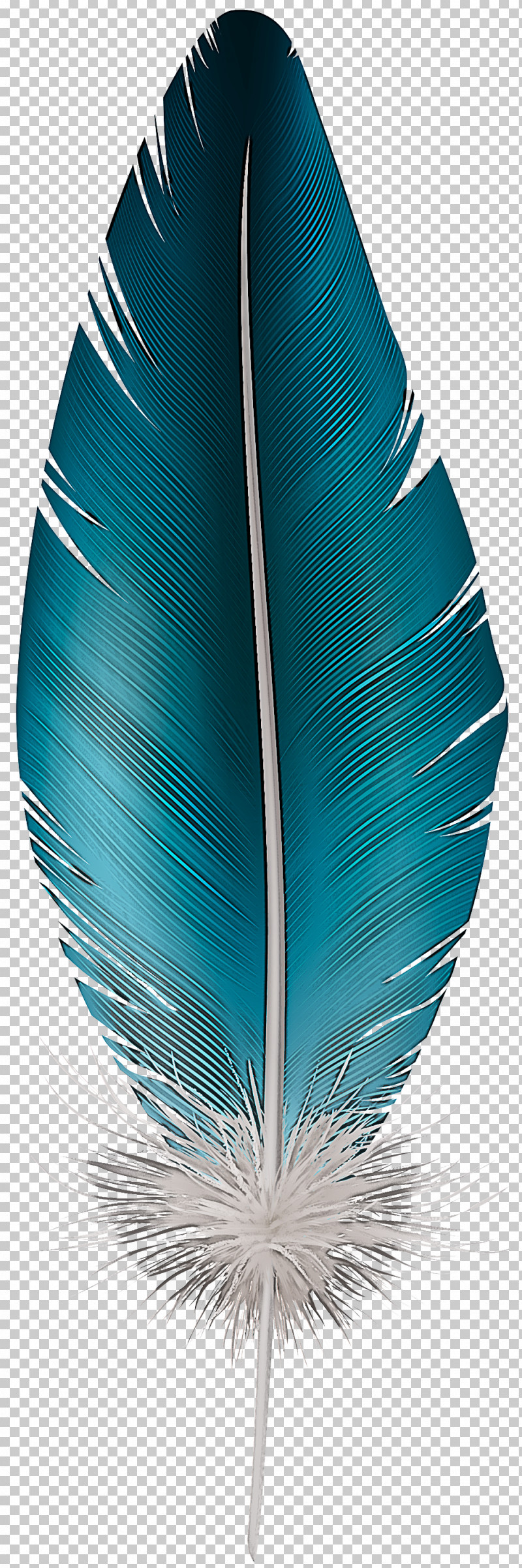 Feather PNG, Clipart, Blue, Feather, Leaf, Natural Material, Quill Free PNG Download