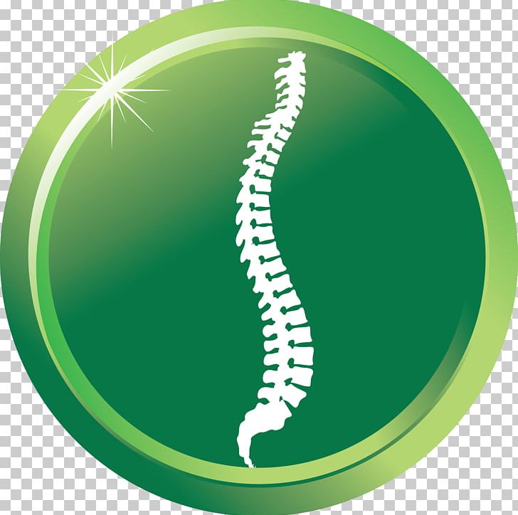 Chiropractic Treatment Techniques Chiropractor Health Care Back Pain PNG, Clipart, Back Pain, Chiropractic, Chiropractic Treatment Techniques, Chiropractor, Circle Free PNG Download