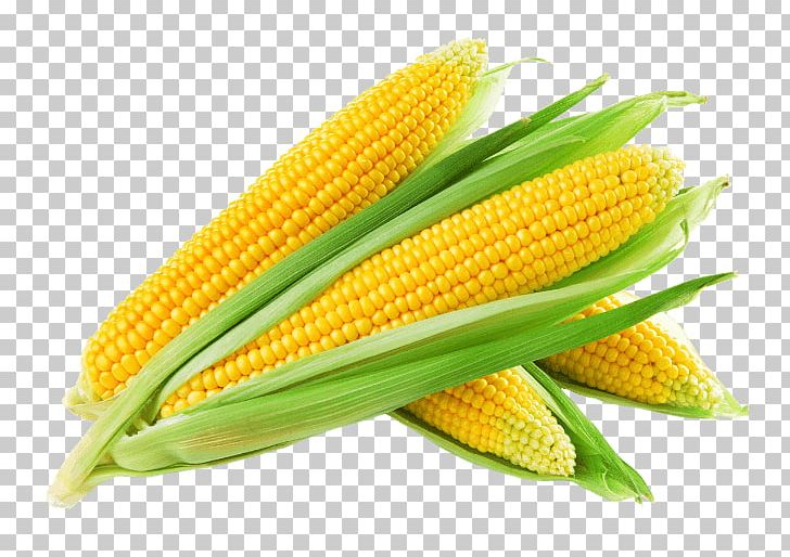 Corn On The Cob Maize Corn Kernel Sweet Corn Corncob PNG, Clipart, Agritech, Agritech India, Commodity, Corncob, Corn Husk Doll Free PNG Download
