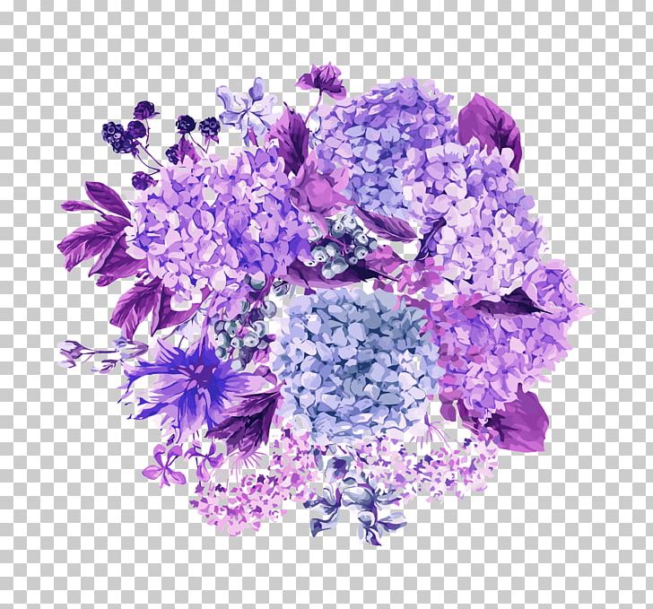 Hydrangea PNG, Clipart, Botany, Cartoon, Cut Flowers, Floral Design, Floristry Free PNG Download