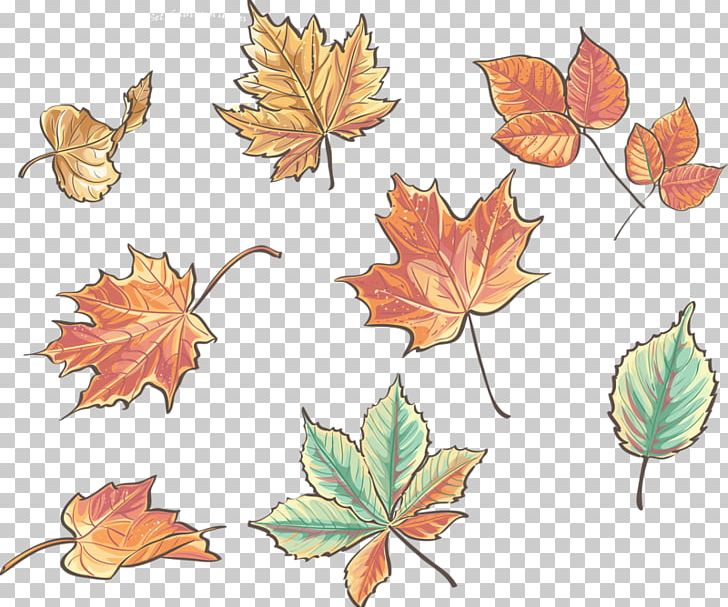 Acorn PNG, Clipart, Acorn, Autumn, Drawing, Feuille, Flowering Plant Free PNG Download