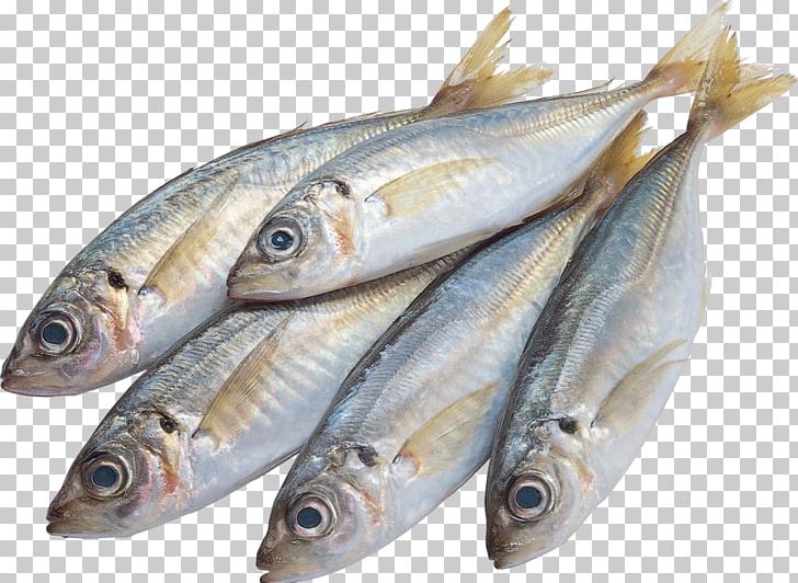 Portable Network Graphics Transparency Fish PNG, Clipart, Anchovy, Animal Source Foods, Capelin, Computer Icons, Desktop Wallpaper Free PNG Download