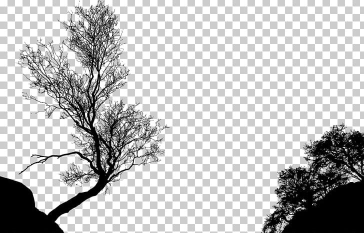 Silhouette Tree Branch Png Clipart Animals Arborist Black And White Branch Computer Wallpaper Free Png Download
