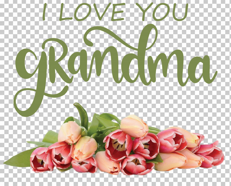 Grandmothers Day Grandma PNG, Clipart, Day, Fathers Day, Floristry, Flower Bouquet, Grandma Free PNG Download