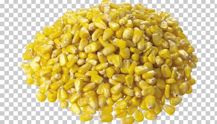 Corn On The Cob Maize Corn Kernel Sweet Corn PNG, Clipart, Cereal Germ, Commodity, Computer Icons, Corncob, Corn Kernel Free PNG Download