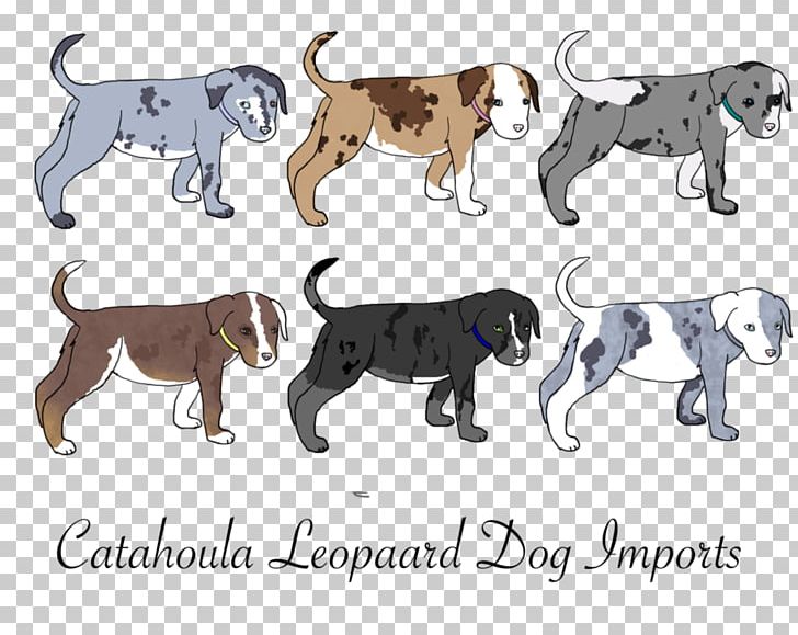 Dog Breed Puppy Non-sporting Group Cat PNG, Clipart, Animal, Animal Figure, Animals, Breed, Carnivoran Free PNG Download