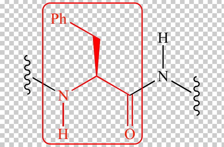 Serine Protease Chymotrypsin Peptide Bond PNG, Clipart, Amino Acid, Angle, Area, Carbonyl Group, Chemistry Free PNG Download