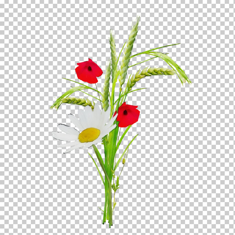 Floral Design PNG, Clipart, Biology, Cut Flowers, Flora, Floral Design, Flower Free PNG Download