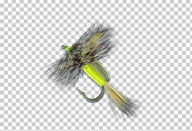 Artificial Fly Angling Recreational Fishing Fly Fishing Crazy Charlie PNG, Clipart, Angling, Artificial Fly, Artificial Intelligence, Dry Fly Fishing, Fish Free PNG Download