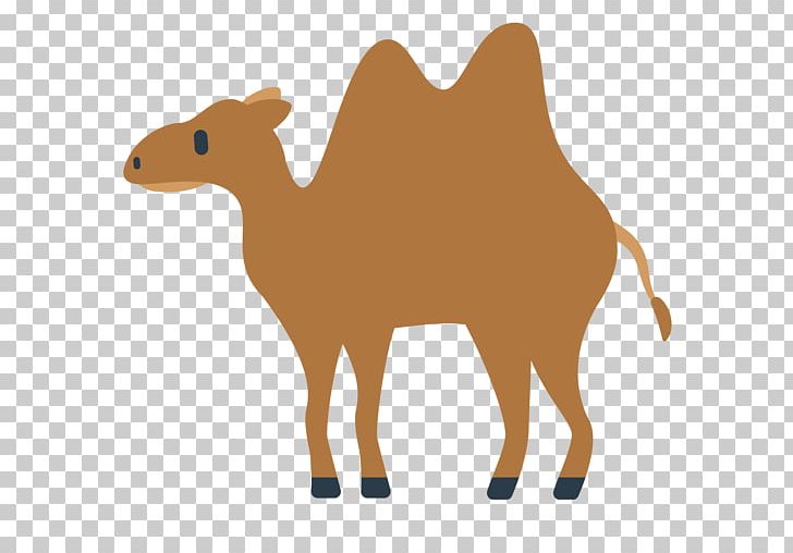 Dromedary Bactrian Camel Emoji Text Messaging Emoticon PNG, Clipart, Animal, Animal Figure, Arabian Camel, Bactrian Camel, Camel Free PNG Download