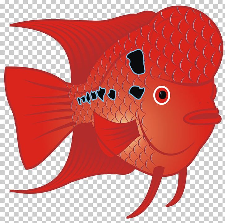 Flowerhorn Cichlid Carassius Auratus Fish PNG, Clipart, Aquarium, Art, Carassius Auratus, Cartoon, Cichlid Free PNG Download