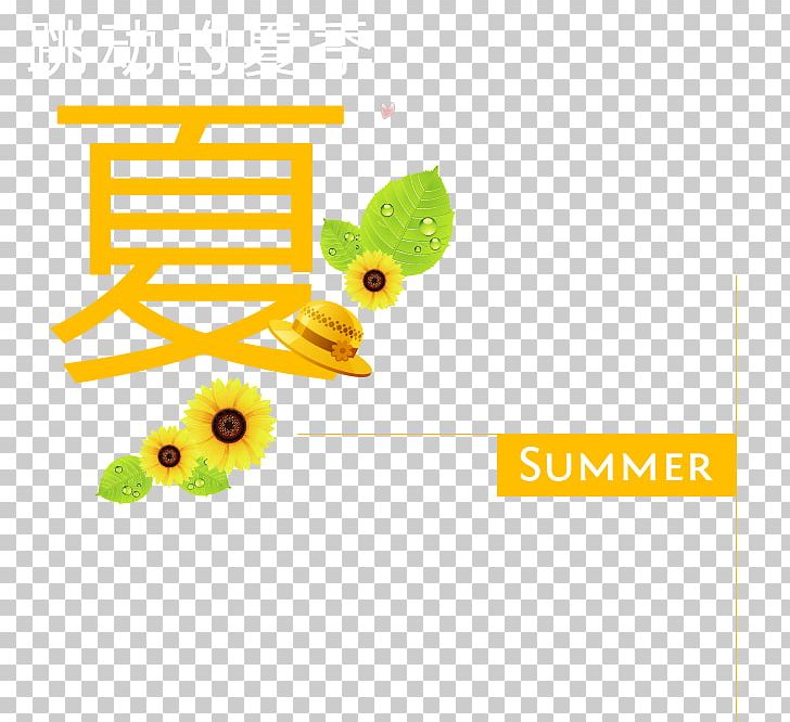 Ni Company Summer Fashion PNG, Clipart, Area, Brand, Company, Dress, Fashion Free PNG Download