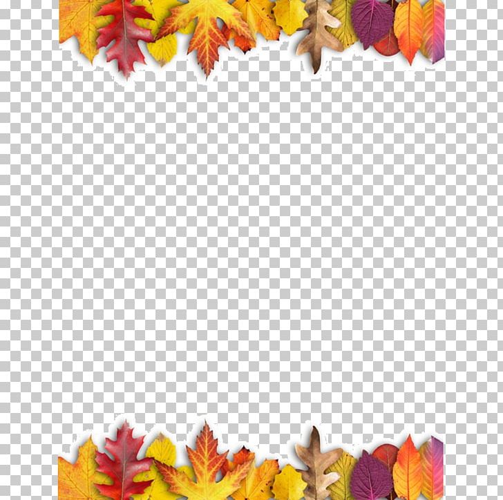 Ojo Travieso Maple Leaf Autumn Leaves PNG, Clipart, Autumn, Autumn Leaves, Chif, Color, Cut Flowers Free PNG Download