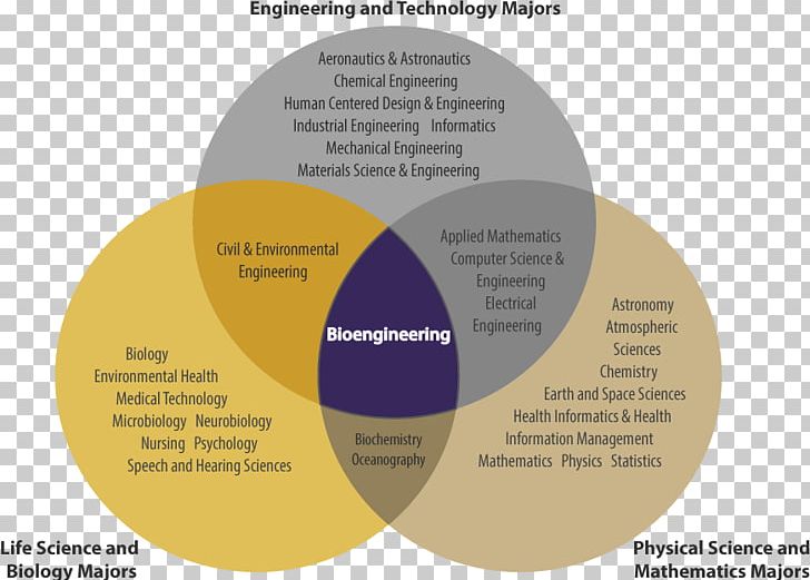 University Of Washington Department Of Bioengineering Biological ...