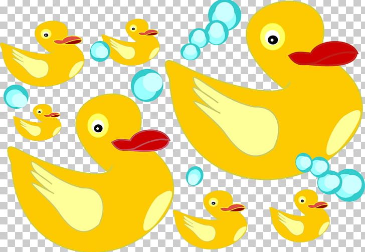 Duck Water Bird Goose Anatidae PNG, Clipart, Anatidae, Animals, Area, Beak, Bird Free PNG Download