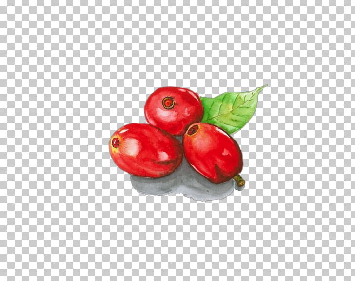 Fotolia Coffee PNG, Clipart, Acerola, Apple, Berry, Coffee, Coffee Bean Free PNG Download