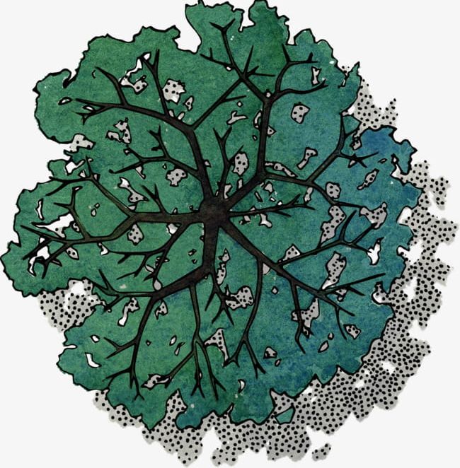 Green Tree Top View PNG, Clipart, Birdseye View, Color, Computer Icons, Decoration, Decorative Patterns Free PNG Download