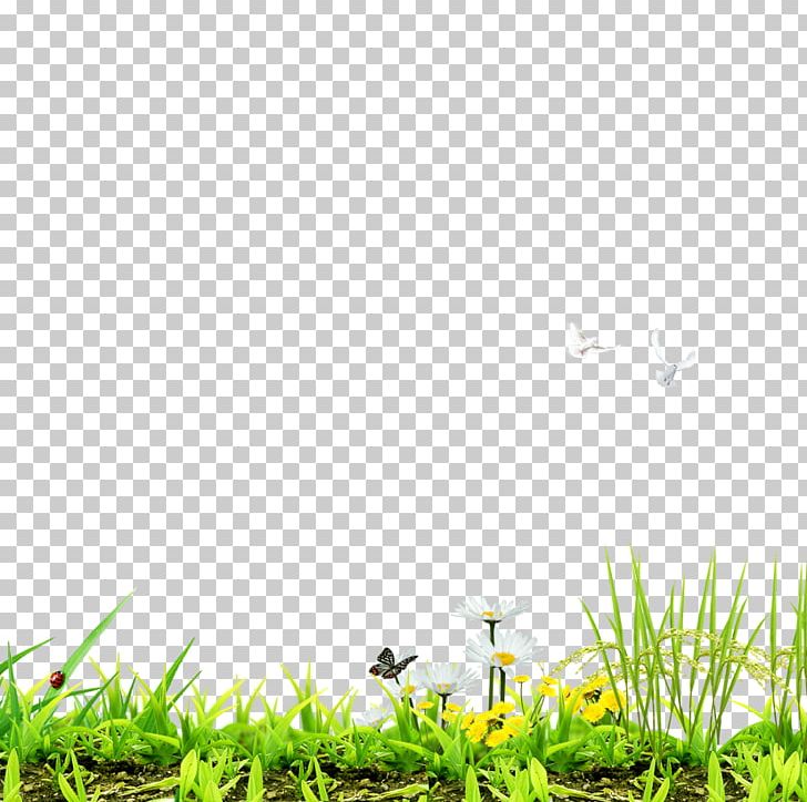 Lawn Designer Computer File PNG, Clipart, Background Green, Butterfly, Computer, Computer Wallpaper, Creative Background Free PNG Download