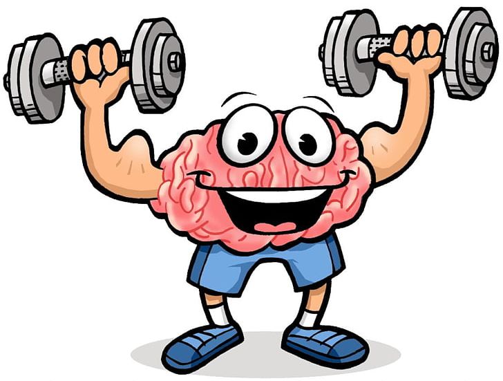 Physical Exercise Brain Cognitive Training Physical Fitness PNG, Clipart, Aerobic Exercise, Aerobics, Area, Arm, Artwork Free PNG Download