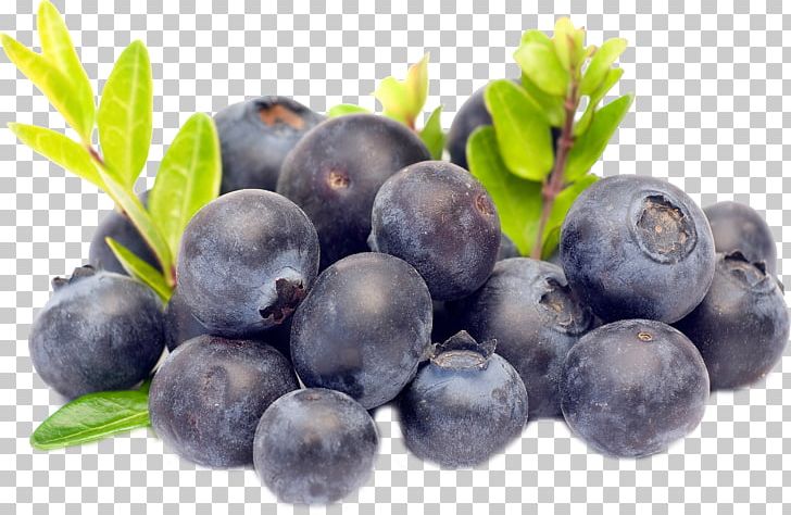 Torte Blueberry Bilberry Fruit PNG, Clipart, Berry, Bilberry, Blueberries, Blueberry, Blueberry Tea Free PNG Download