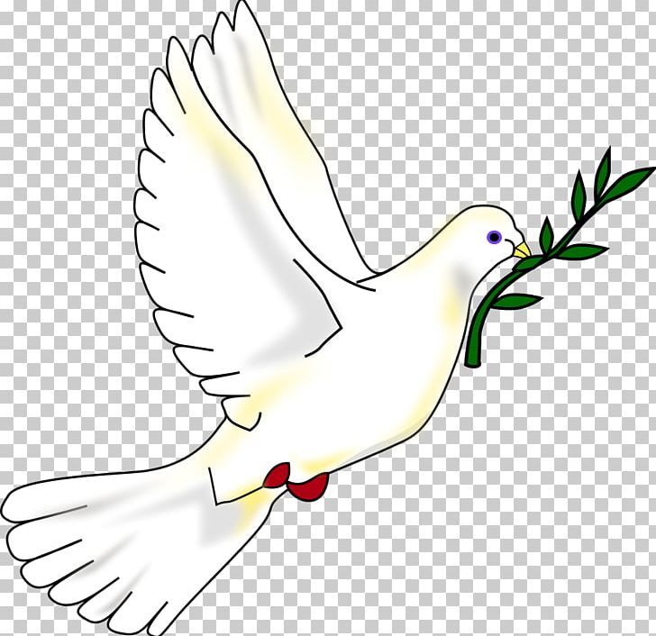 Columbidae Bird Peace Symbols PNG, Clipart, Animals, Area, Art, Artwork ...