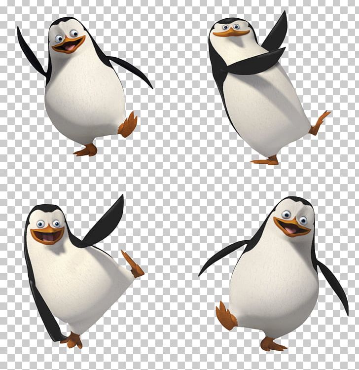 Madagascar Penguins PNG, Clipart, Madagascar Penguins Free PNG Download