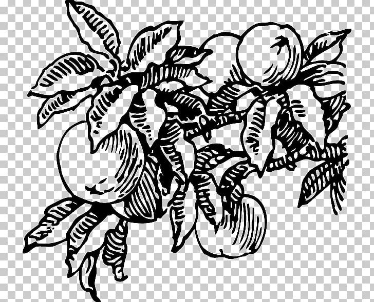 James And The Giant Peach Juice PNG, Clipart, Art, Artwork, Black And White, Butterfly, Download Free PNG Download