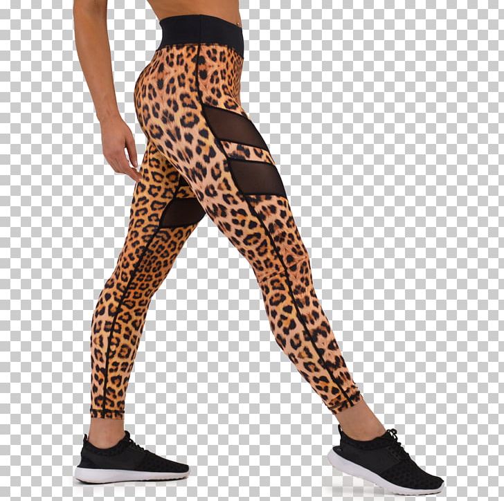 Leggings Leopard Sportswear Yoga Pants Tights PNG, Clipart, Animal Print, Animals, Bra, Briefs, Clothing Free PNG Download