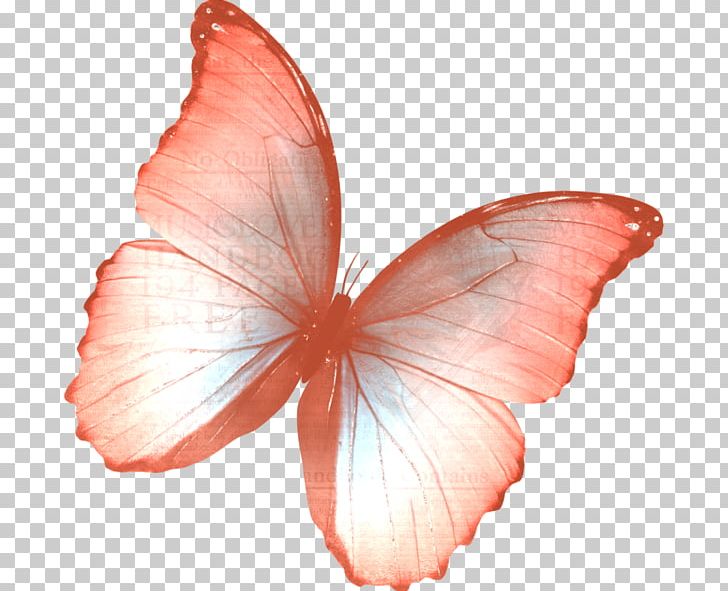Monarch Butterfly PNG, Clipart, Animal, Animation, Arthropod, Brush Footed Butterfly, Butterflies And Moths Free PNG Download
