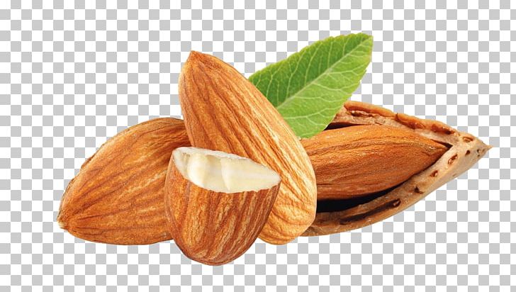 Nuts Almond Dried Fruit PNG, Clipart, Almond, Almond Milk, Almond Nut, Almonds, Apricot Kernel Free PNG Download