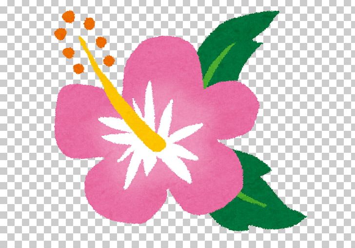 ハイビスカス Roselle Urasoe School Meal ＫＴＰキッズイングリッシュクラブ PNG, Clipart, Cooking, Flora, Flower, Flowering Plant, Hibiscus Free PNG Download