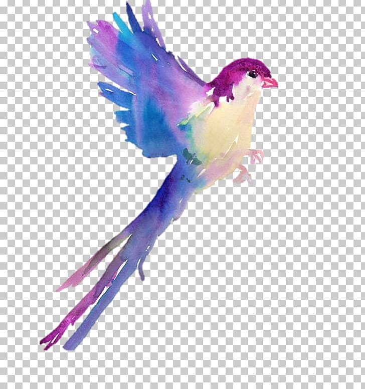 Bird Wren Tanager Watercolor Painting Drawing PNG, Clipart, Abstract Art, Animals, Art, Art Museum, Beak Free PNG Download