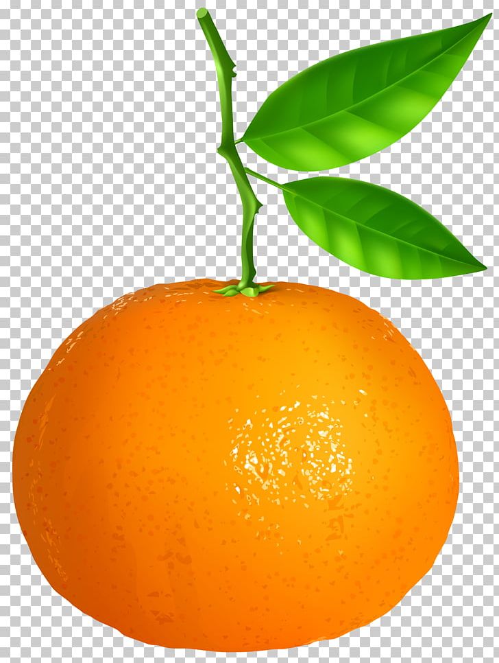 Clementine Tangerine Orange Tangelo PNG, Clipart, Bitter Orange, Blood Orange, Citric Acid, Citrus, Clementine Free PNG Download
