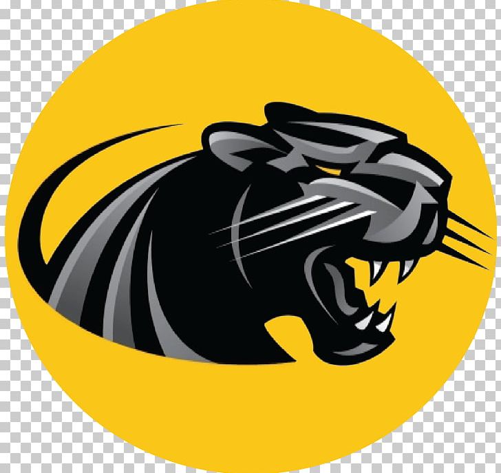 Milwaukee Panthers Men's Basketball Milwaukee Panthers Women's Basketball University Of Wisconsin–Milwaukee PNG, Clipart,  Free PNG Download