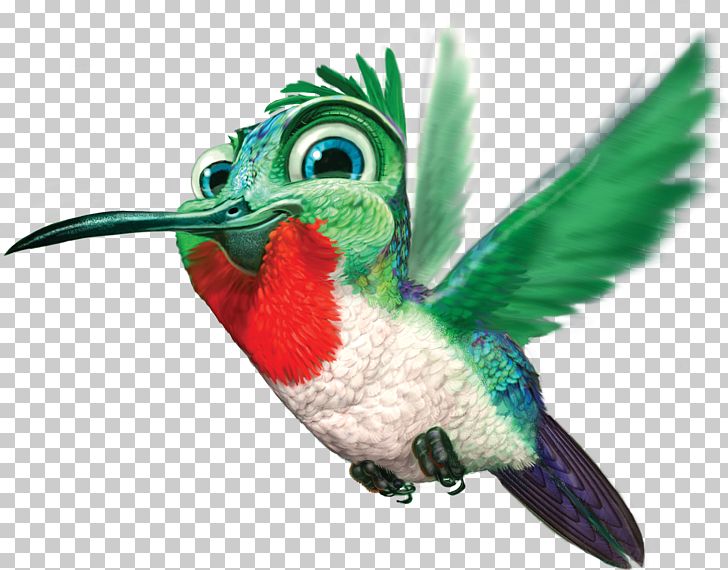 Google Hummingbird PNG, Clipart, Animals, Beak, Bible, Bird, Catoftheday Free PNG Download