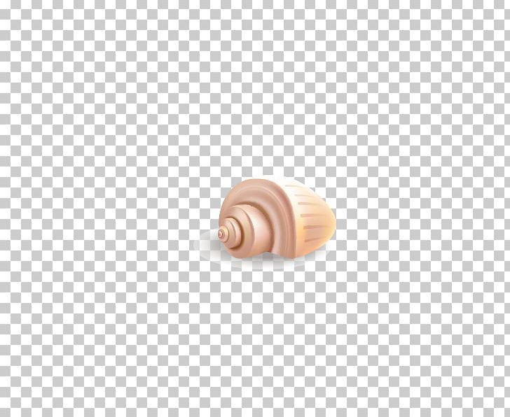 Snail Nautilida PNG, Clipart, Cartoon Conch, Conch, Conch Blowing, Conchs, Conch Shell Free PNG Download