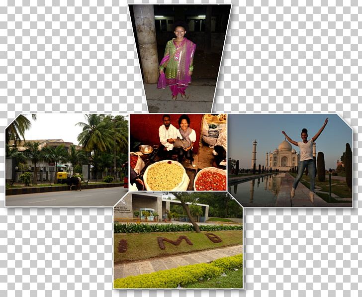 Advertising Collage Brand Tourism PNG, Clipart, Advertising, Brand, Collage, Incredible India, Recreation Free PNG Download