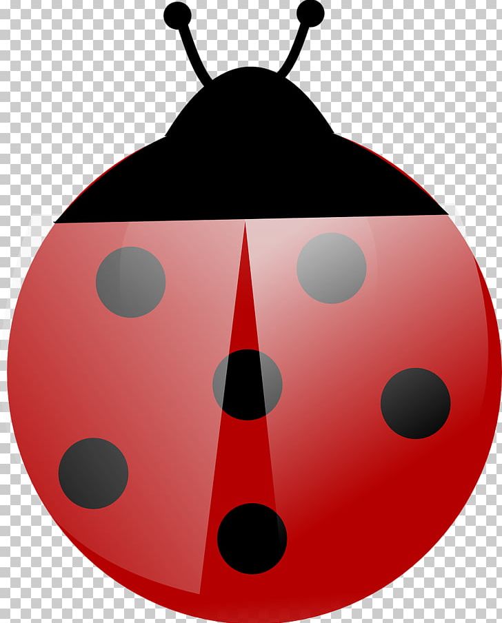 Beetle Ladybird PNG, Clipart, Animals, Beetle, Circle, Computer Icons, Drawing Free PNG Download