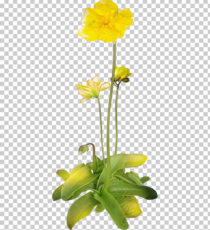 Floral Design Cut Flowers Flower Bouquet PNG, Clipart, Artificial Flower, Blume, Floral Design, Floristry, Flower Free PNG Download