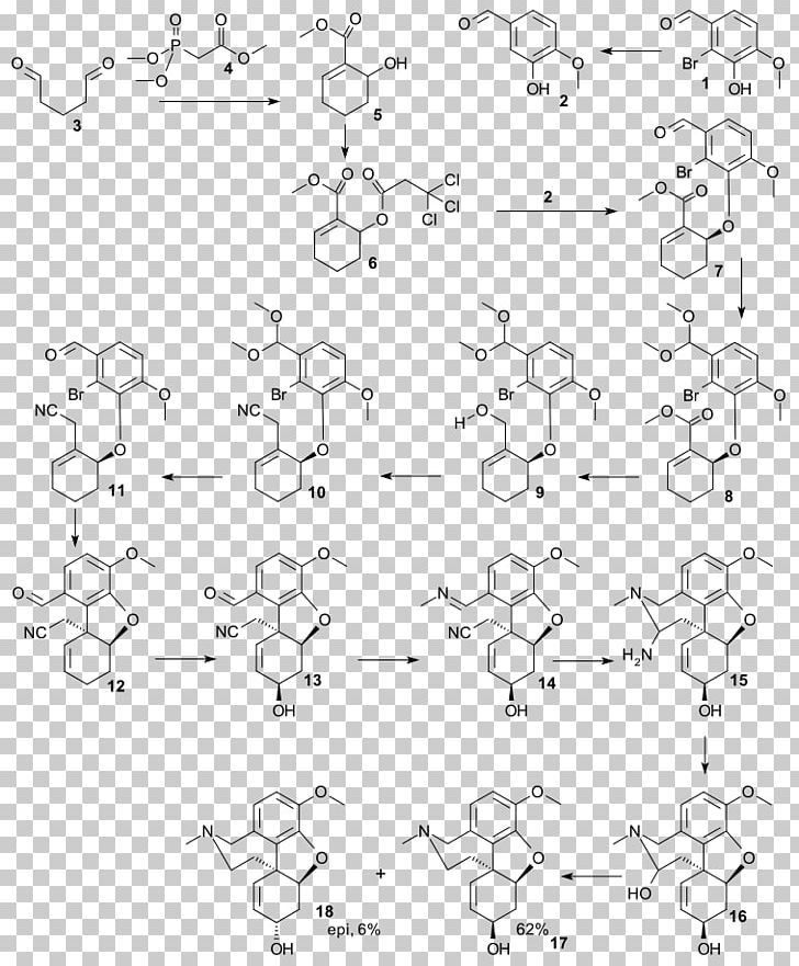 Galantamine Total Synthesis Chemical Synthesis Total Synthesis Of Morphine And Related Alkaloids PNG, Clipart, Chemical Synthesis, Galantamine Total Synthesis, Strychnine Total Synthesis Free PNG Download