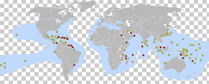 Map Ecoregion Area Tuberculosis PNG, Clipart, Area, Ecoregion, Map, Travel World, Tuberculosis Free PNG Download