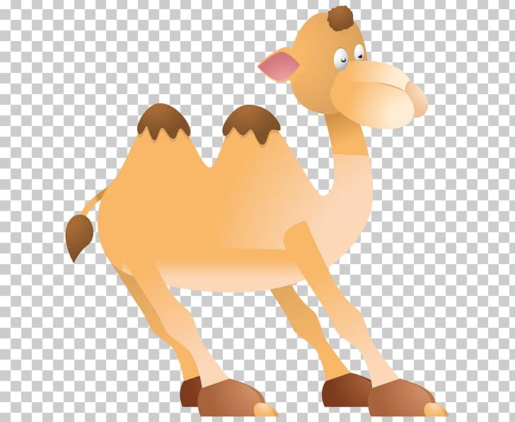 Pre-school Worksheet PNG, Clipart, Animal Figure, Arabian Camel, Beak, Buff Cratoon Camel, Camel Free PNG Download