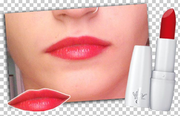 Lip Gloss Lipstick Cosmetics Cheek PNG, Clipart, Beauty, Cheek, Chin, Cosmetics, Eyebrow Free PNG Download