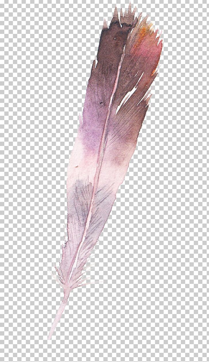 Watercolor Painting Feather PNG, Clipart, Animals, Color, Download, Feather, Leaf Free PNG Download