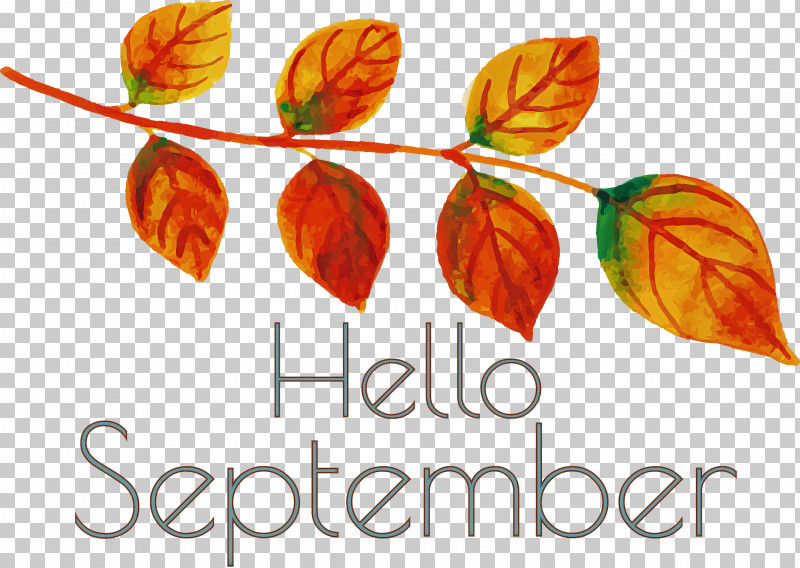 Hello September September PNG, Clipart, Biology, Fruit, Hello September, Leaf, Meter Free PNG Download