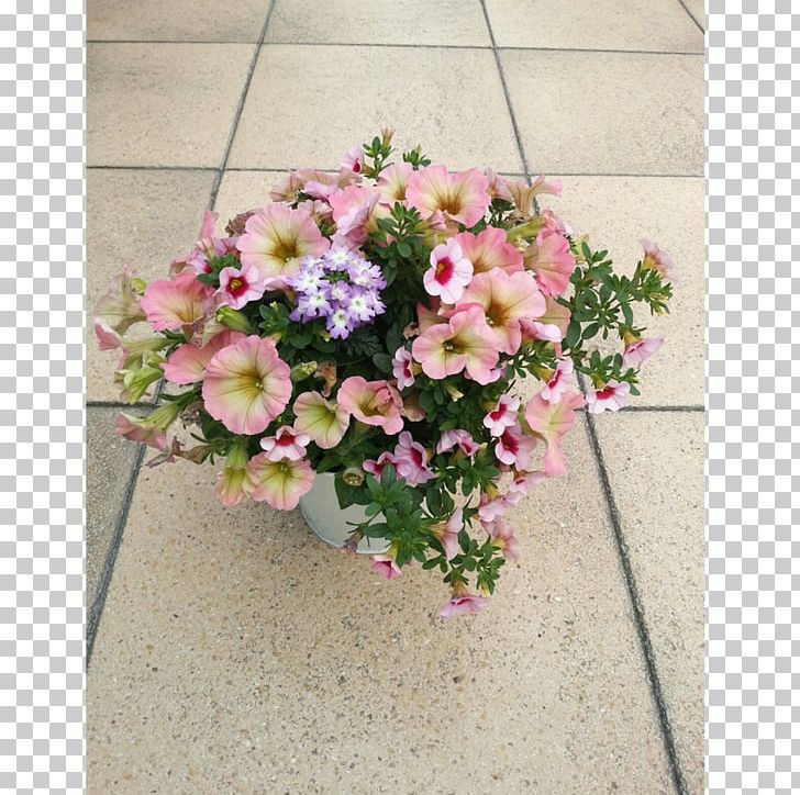 Garden Petunia Annual Plant Bidens Ferulifolia PNG, Clipart, Annual Plant, Artificial Flower, Balcony, Balkon, Cut Flowers Free PNG Download