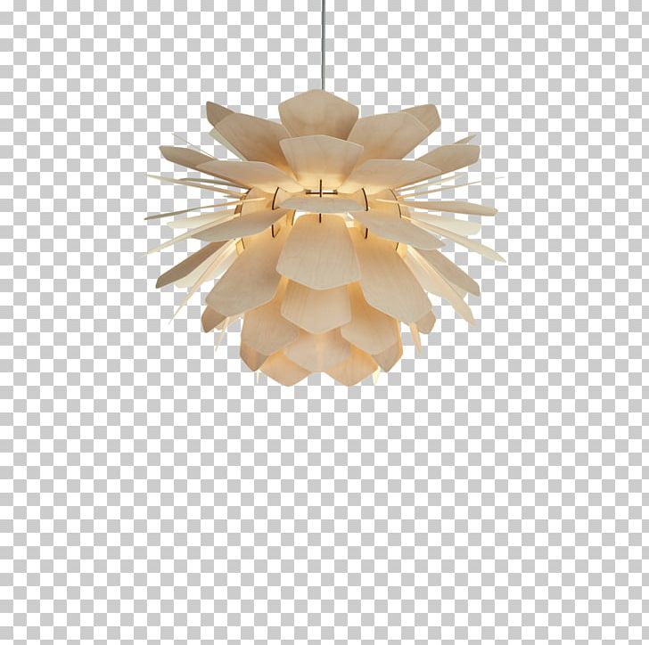 Light Fixture Pendant Light Conifer Cone Lighting PNG, Clipart, Ceiling Fixture, Christmas Ornament, Cone, Conifer Cone, Electric Light Free PNG Download