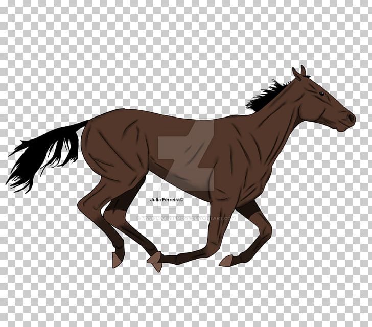 Mustang Foal Pony Stallion Animated Film PNG, Clipart, Animal Figure, Animated Film, Bridle, Colt, Drawing Free PNG Download